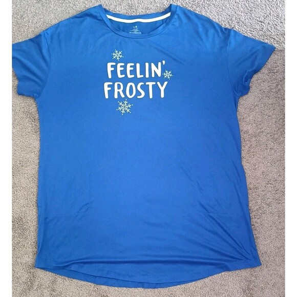 Secret Treasures Nightshirt Size XL  Feelin Frosty Blue Snowflake Womens Soft - Picture 1 of 4